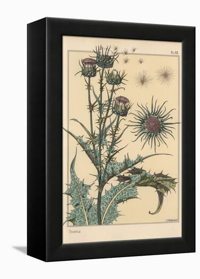 Thistle Botanical Study, 1897 (Lithograph)-Eugene Grasset-Framed Premier Image Canvas