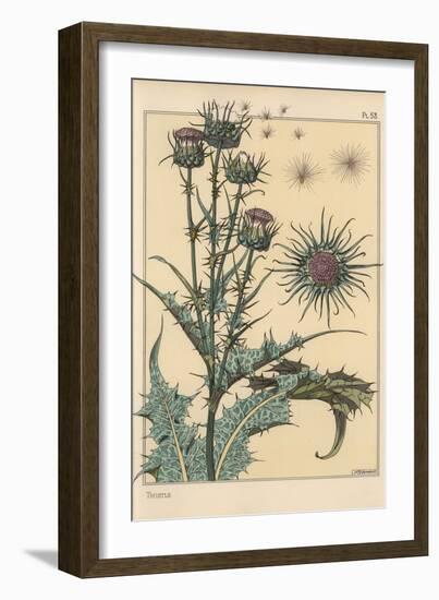 Thistle Botanical Study, 1897 (Lithograph)-Eugene Grasset-Framed Giclee Print