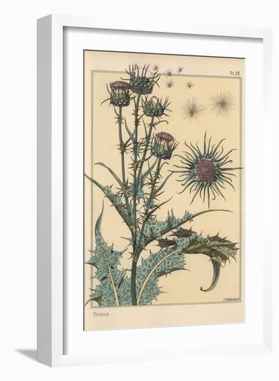 Thistle Botanical Study, 1897 (Lithograph)-Eugene Grasset-Framed Giclee Print