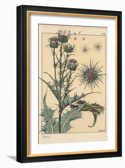 Thistle Botanical Study, 1897 (Lithograph)-Eugene Grasset-Framed Giclee Print