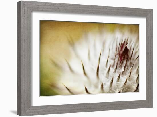 Thistle Bud-Jessica Rogers-Framed Giclee Print