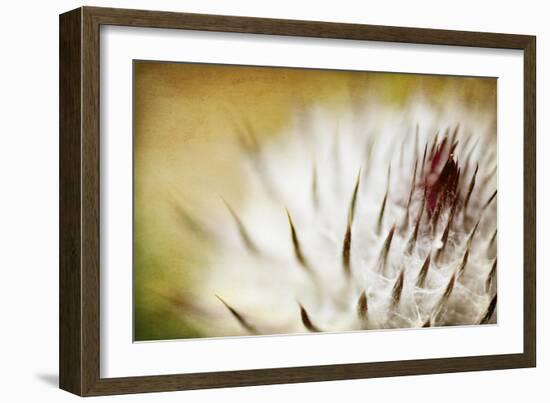 Thistle Bud-Jessica Rogers-Framed Giclee Print