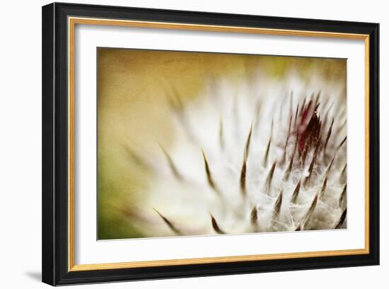 Thistle Bud-Jessica Rogers-Framed Giclee Print