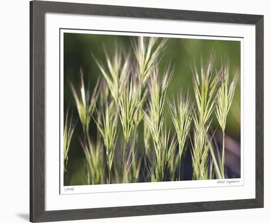 Thistle Down I-Joy Doherty-Framed Giclee Print