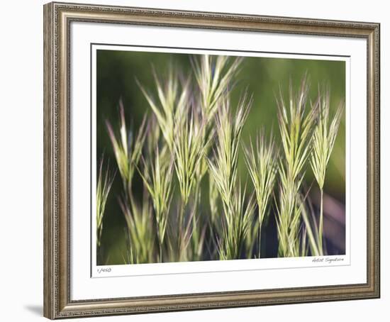 Thistle Down I-Joy Doherty-Framed Giclee Print