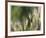 Thistle Down II-Joy Doherty-Framed Giclee Print