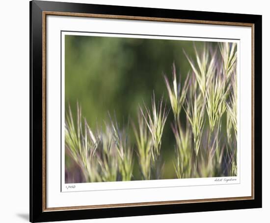 Thistle Down II-Joy Doherty-Framed Giclee Print