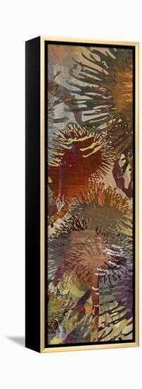 Thistle Panel IV-James Burghardt-Framed Stretched Canvas