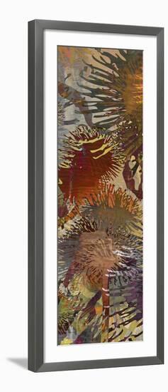 Thistle Panel IV-James Burghardt-Framed Art Print