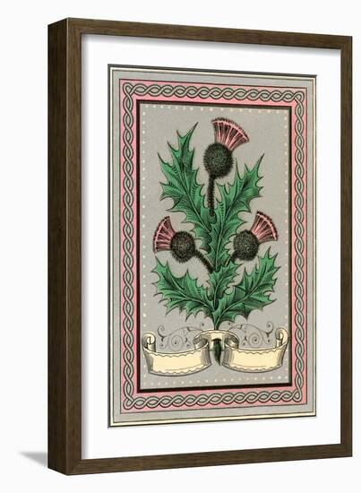 Thistle-null-Framed Art Print