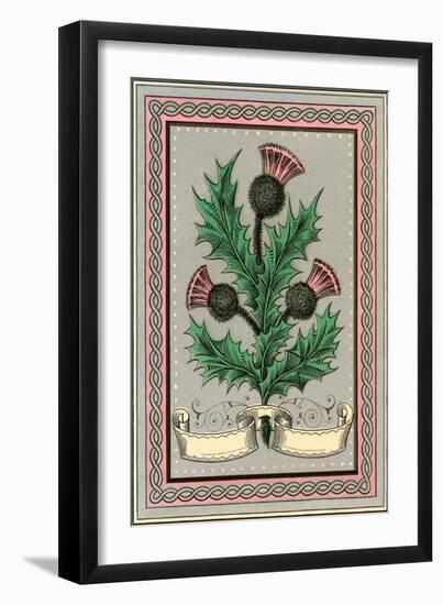 Thistle-null-Framed Art Print