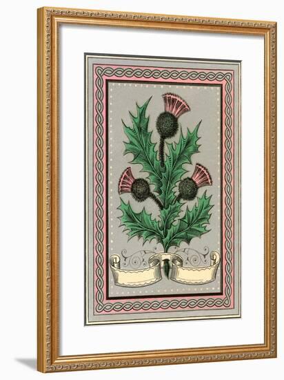 Thistle-null-Framed Art Print