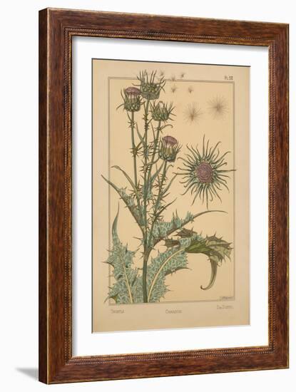 Thistle-null-Framed Giclee Print