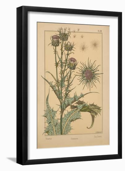 Thistle-null-Framed Giclee Print