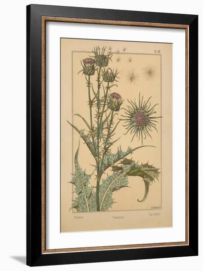 Thistle-null-Framed Giclee Print