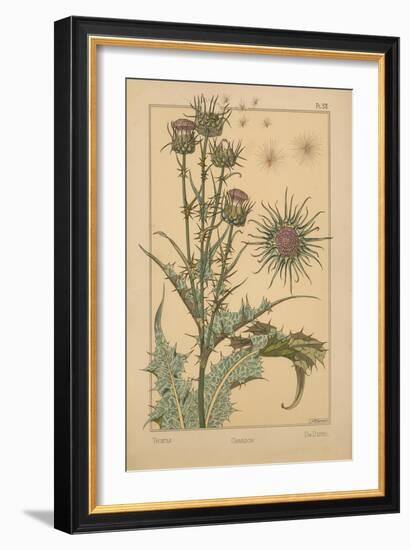 Thistle-null-Framed Giclee Print