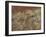 Thistles, 1885-89-John Singer Sargent-Framed Giclee Print