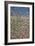 Thistles 1-Lincoln Seligman-Framed Giclee Print