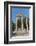 Tholos, Ancient Greek ruins, Olympia, Greece-Jim Engelbrecht-Framed Photographic Print