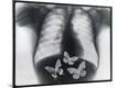 Premium Photographic Print
