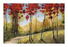 Forest Trail-Thomas Andrew-Framed Giclee Print