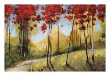 Forest Trail-Thomas Andrew-Giclee Print