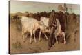 Stretched Canvas Print