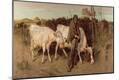 Giclee Print