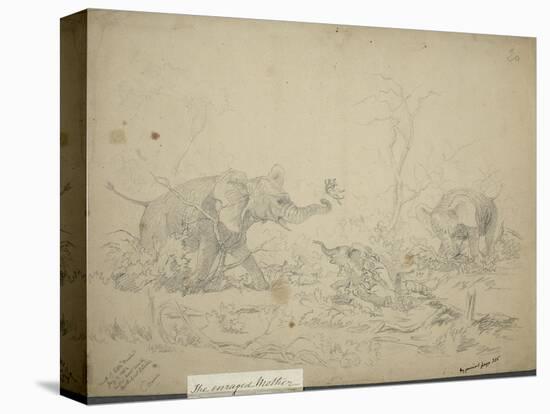 Stretched Canvas Print, , large