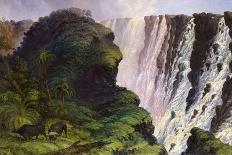 Zanjueelah, the Boatman of the Rapids, from 'The Victoria Falls, Zambesi River', Pub. 1865-Thomas Baines-Giclee Print