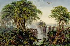 Buffalos Driven to the Edge of the Chasm Opposite Garden Island, Victoria Falls-Thomas Baines-Giclee Print