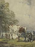 A Study of Cattle, 19Th Century-Thomas Baker-Framed Giclee Print