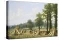 Stretched Canvas Print