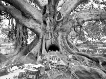 The Road to Enlightenment-Thomas Barbey-Art Print