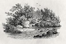 Endpiece, Late 18th or Early 19th Century-Thomas Bewick-Giclee Print