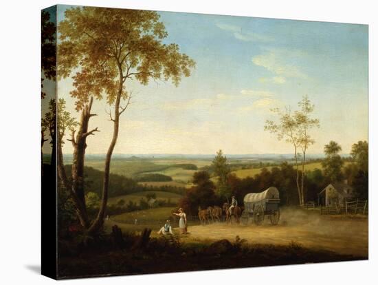 Stretched Canvas Print, , large