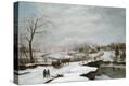 Stretched Canvas Print