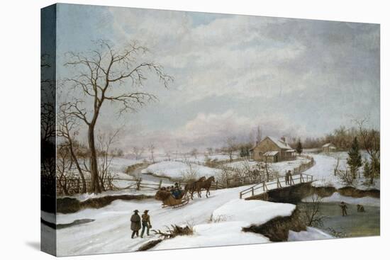 Stretched Canvas Print, , large