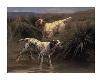 Premium Giclee Print