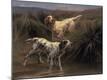 Premium Giclee Print