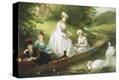 Stretched Canvas Print