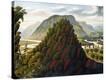 Stretched Canvas Print