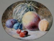 Fruit, 19Th Century-Thomas Collier-Giclee Print