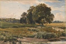 The Marshes, c1879-Thomas Collier-Giclee Print