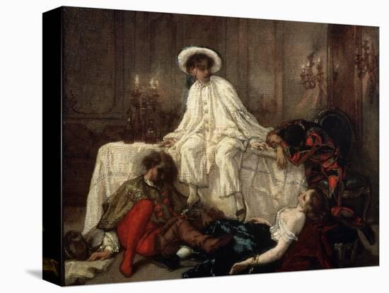 Stretched Canvas Print, , large