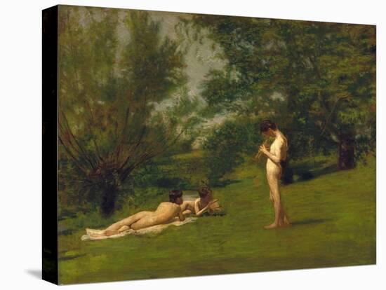 Stretched Canvas Print, , large