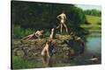 Stretched Canvas Print