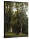 Stretched Canvas Print