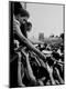 Premium Photographic Print