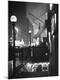 Photographic Print